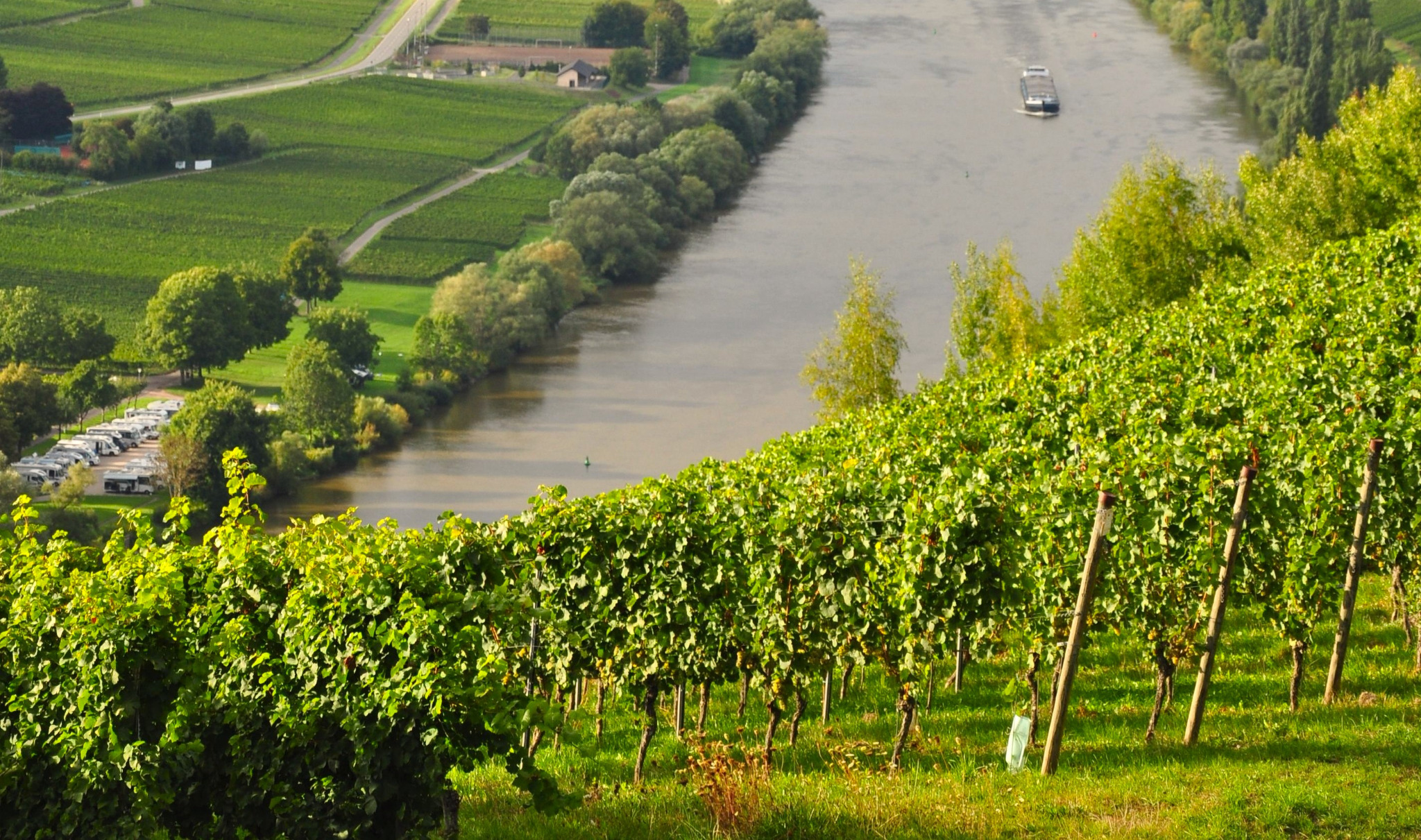 Weinberge an einem Flussufer
